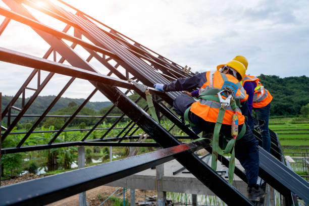 Best Roof Repair Services  in Olivarez, TX