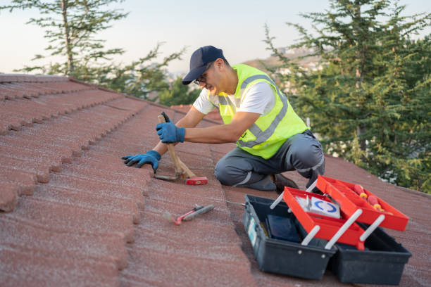 Roof Gutter Cleaning in Olivarez, TX